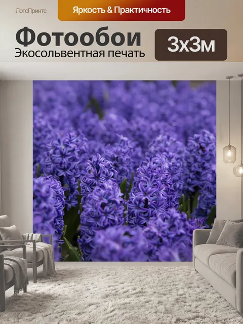 Фотообои гиацинт Цветы