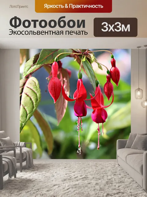 Фотообои Цветок