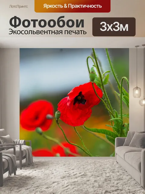Фотообои Цветок маков