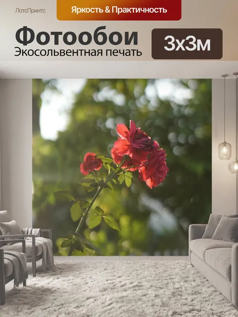 Фотообои Розы