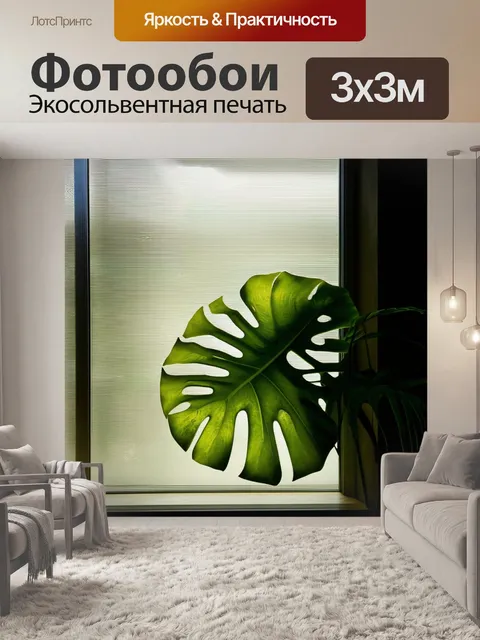Фотообои оригинальное изображение монстеры на фоне тонкого стеклянного окна, где свет создает интересные тени