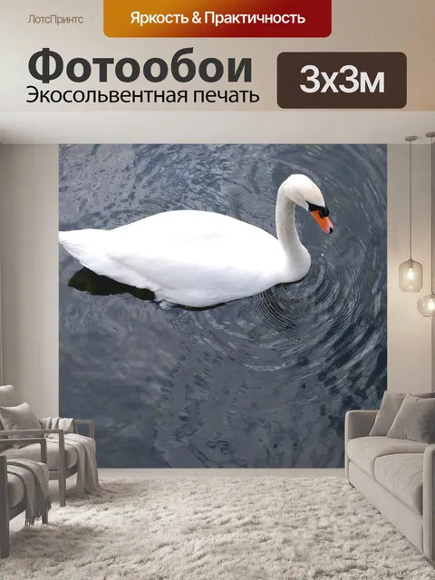 Фотообои Лебедь