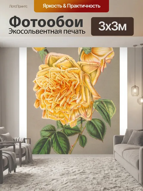 Фотообои Винтажная цветочная иллюстрация розы