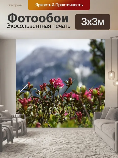 Фотообои Альпийская роза