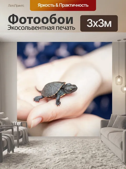 Фотообои Черепаха
