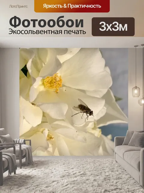 Фотообои Цветы