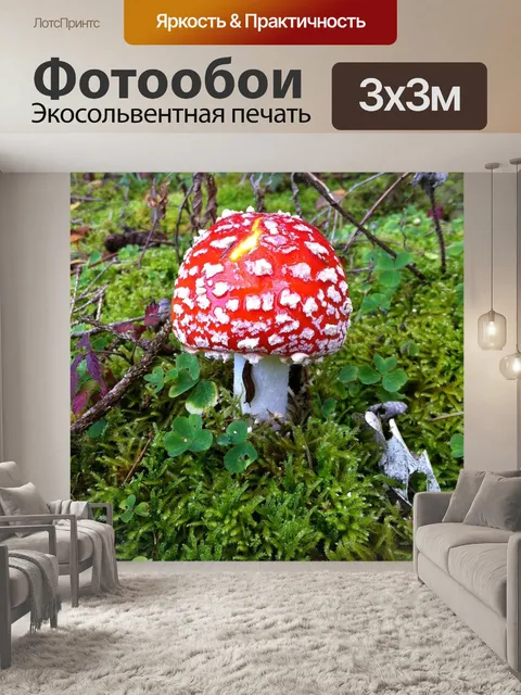 Фотообои Поганка