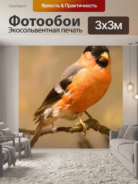 Фотообои Северный снегирь