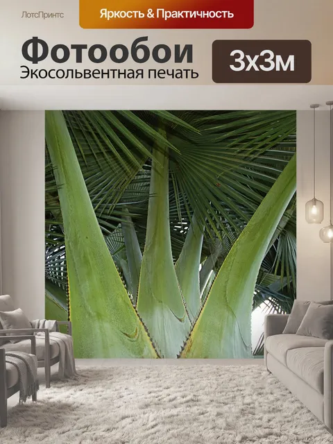Фотообои Пальма