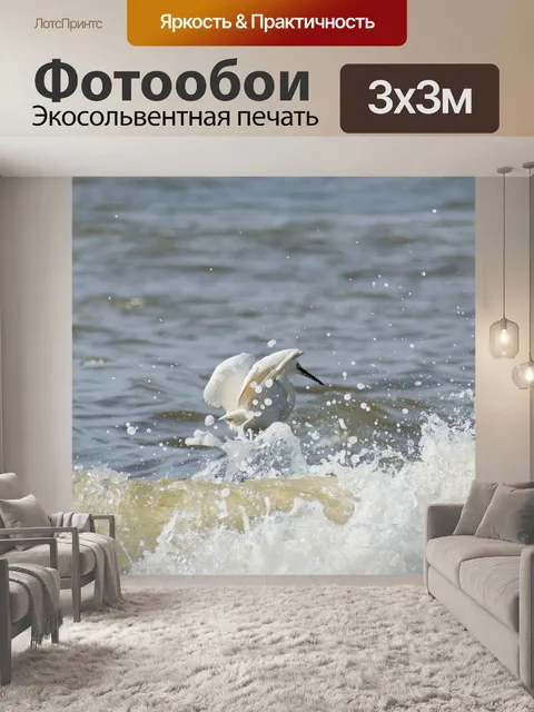 Фотообои Животное