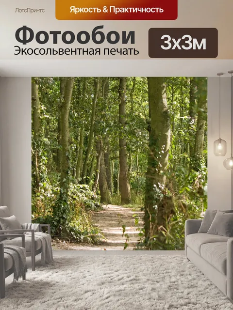 Фотообои Woodland Trail Walk