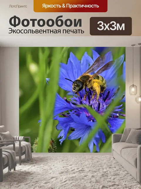 Фотообои Брюки пчела