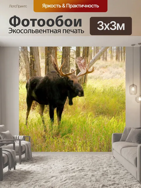 Фотообои Бык лось