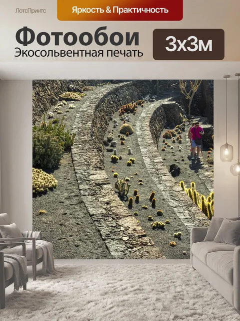 Фотообои Кактус