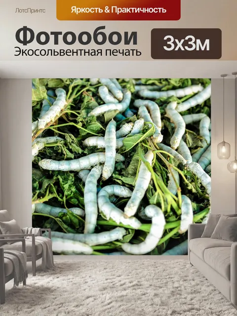 Фотообои Шелкопряд ест листья шелковицы