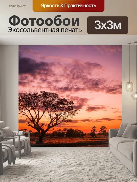 Фотообои дерево на закате