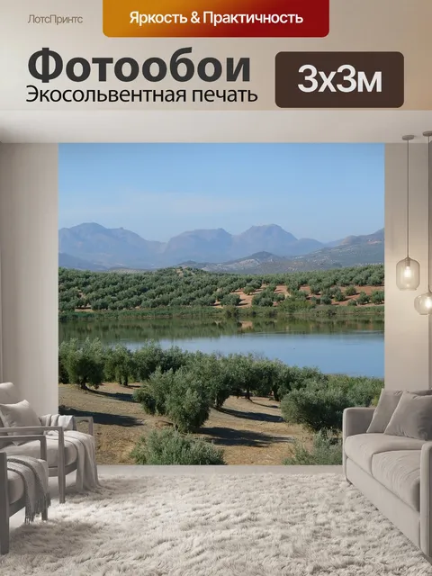 Фотообои Поле