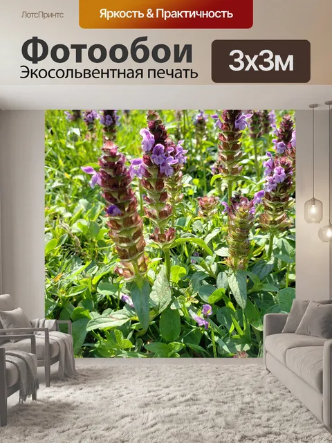Фотообои Цветы