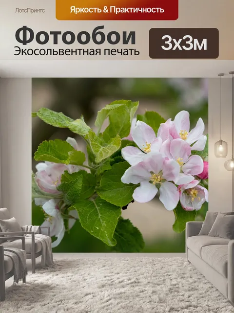Фотообои Цветы, яблоневый цвет