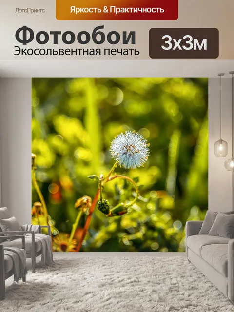 Фотообои Луг
