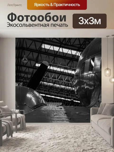 Фотообои самолет