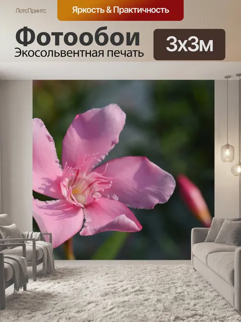 Фотообои Розовый