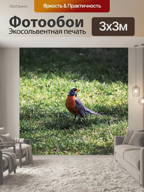 Фотообои Птица