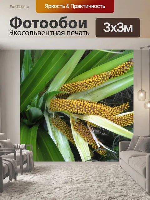 Фотообои Пальмовые ветви