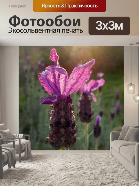 Фотообои Лаванда