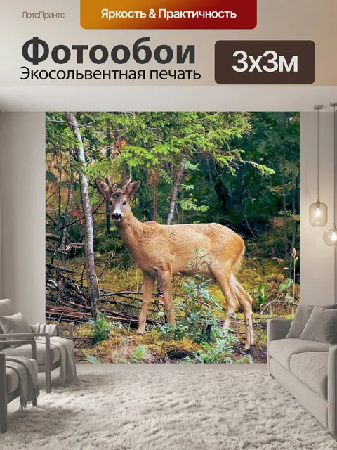 Фотообои Олень
