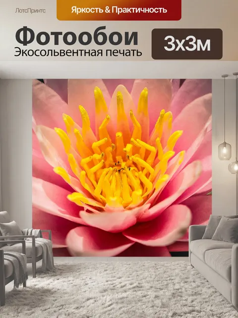 Фотообои цветок лотоса