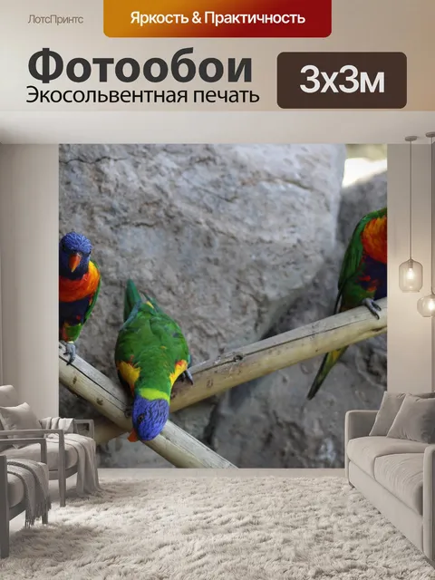 Фотообои Попугай