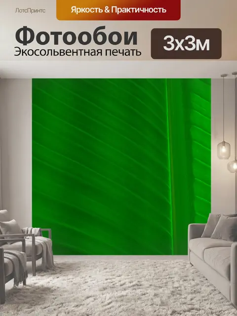 Фотообои Деталь листьев пальмы