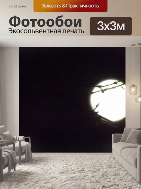 Фотообои Луна небо 4