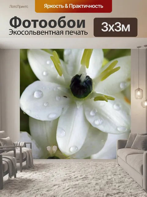 Фотообои структуры белого шиншеринчи
