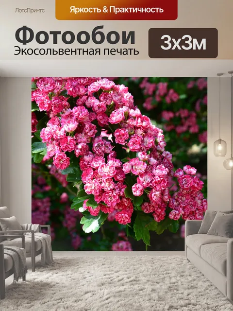 Фотообои Красивые цветы вишни Розы