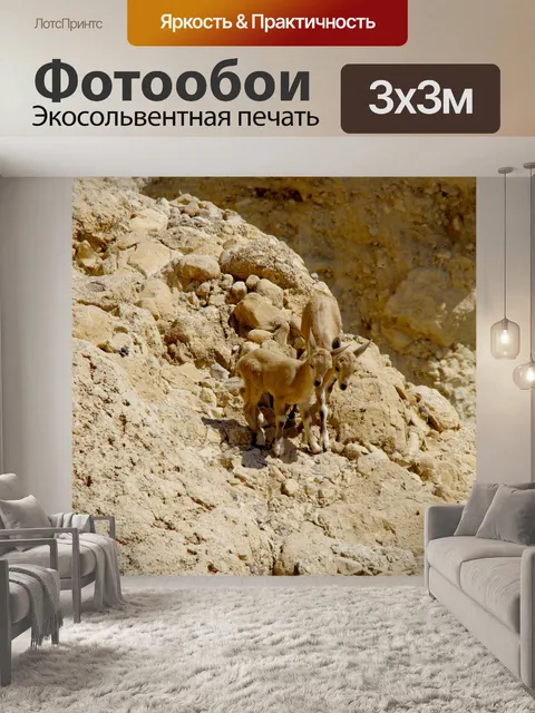 Фотообои Два молодых детеныша горного оленя горно