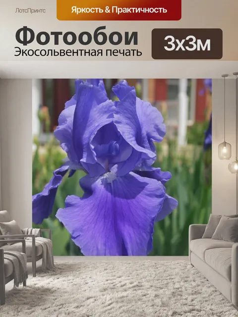 Фотообои Лаванда Iris 2