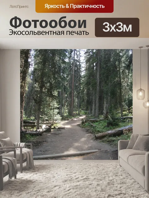 Фотообои Лес елок Путь