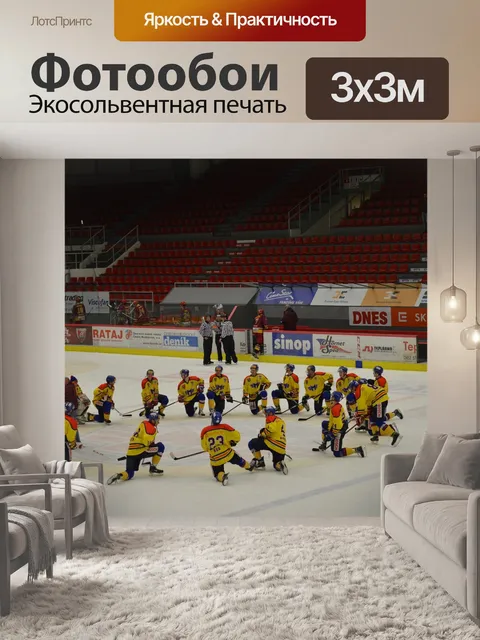 Фотообои Хоккей