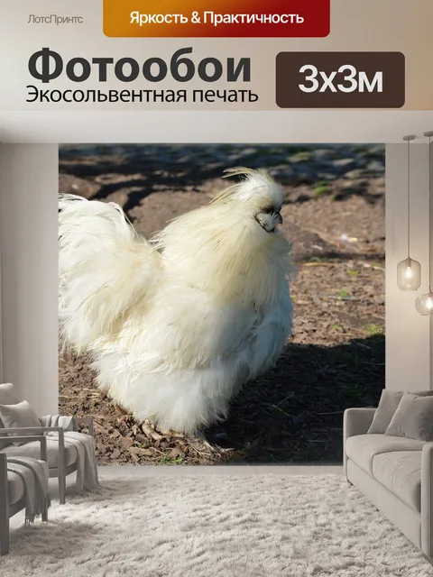 Фотообои Птица 03