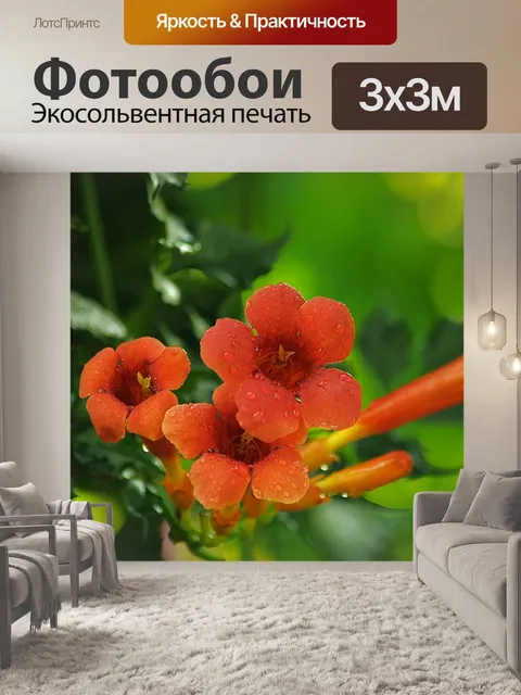 Фотообои Лиана