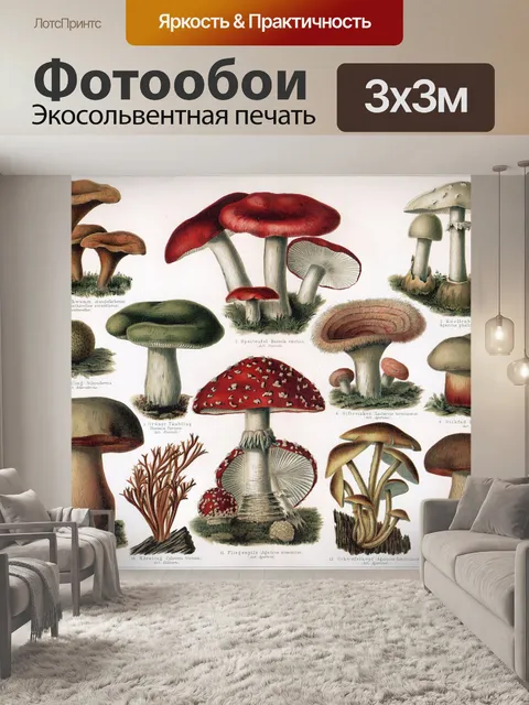 Фотообои Грибы доске винтаж illustratio