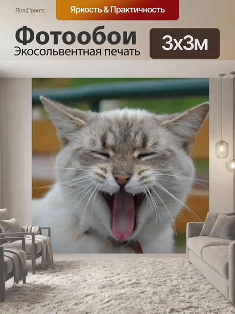 Фотообои Кошка