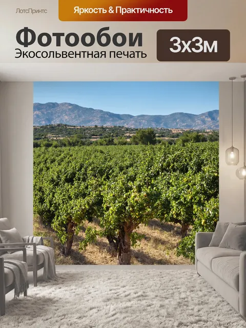 Фотообои прованс изображают яркие оливковые рощи, где зелёные оливы созревают под ярким солнцем на фоне высоких гор