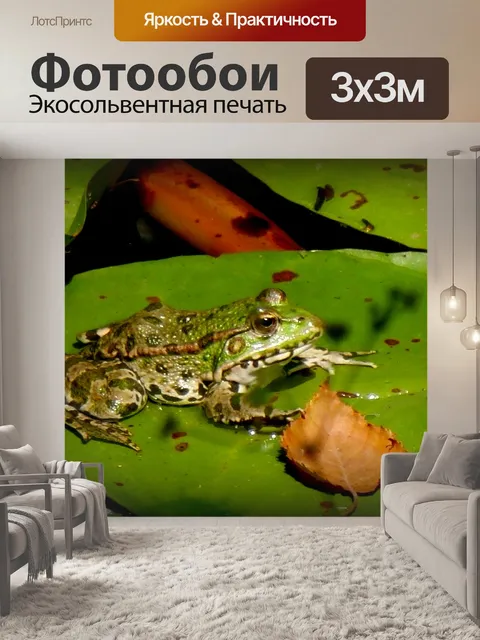 Фотообои Лягушка