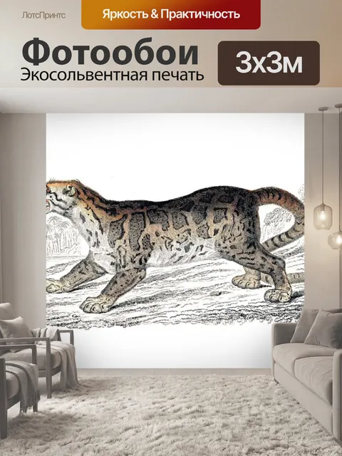 Фотообои Большая кошка кошка старинное искусство