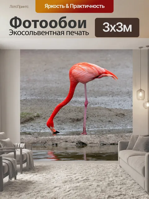 Фотообои Фламинго
