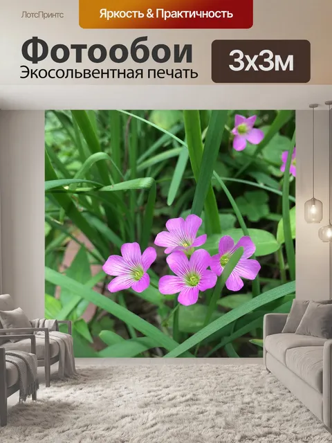 Фотообои Маленький