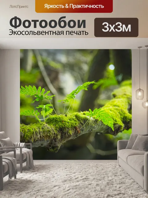 Фотообои Завод папоротника фон